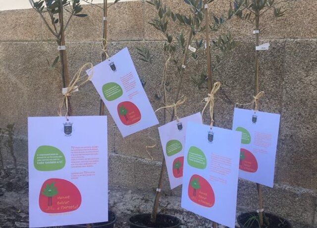 54518993_263406701257671_1277953809389191168_n