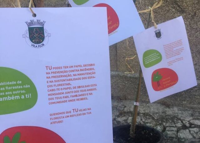 54518238_627671091036918_1636282097670815744_n