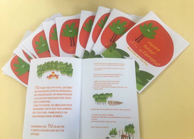 54436863_397054477775581_7371142741637464064_n