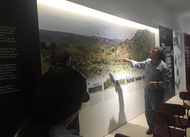 65419128_475702563234639_2016173402405994496_n