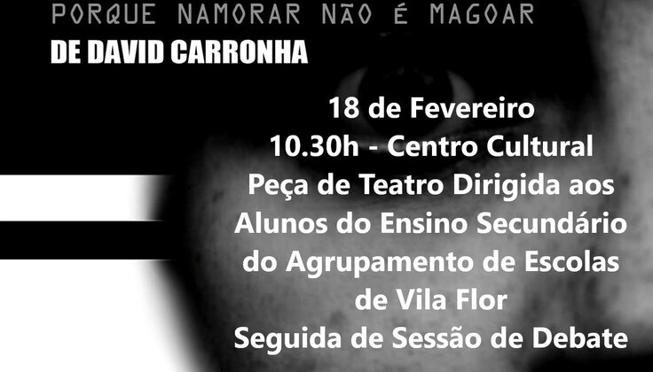 violencianonamoro1
