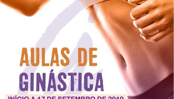 Cartaz_Gin__stica