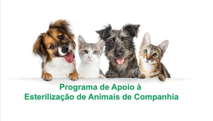 sexta_feira__1_