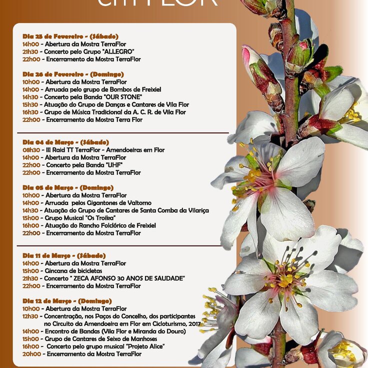 Cartaz_A3_Amendoeira_Vila_Flor_2017_convertido-page-001