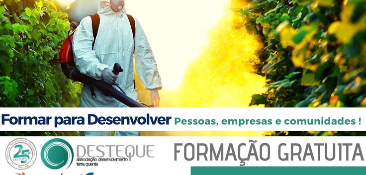 desteque__apf_vila_flor
