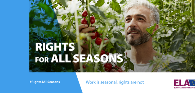 ela_som_en_1140x485_workisseasonal_blue_new