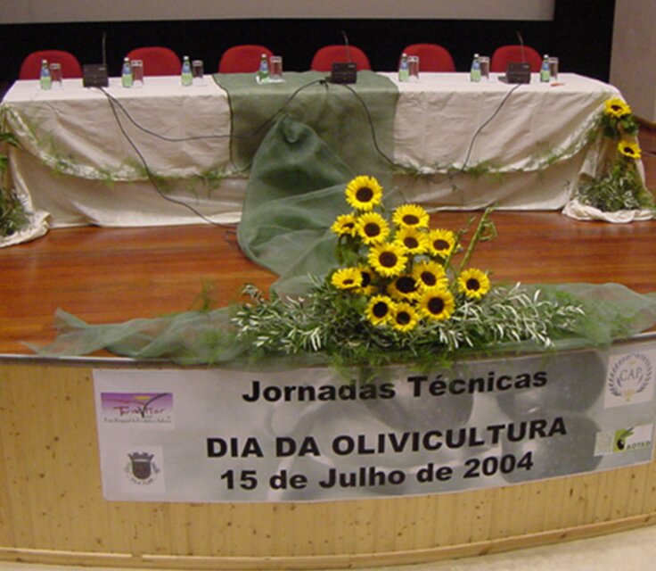 Terraflor02 02 1 736 640