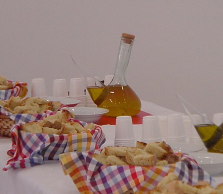 Terraflor02 03 1 736 640