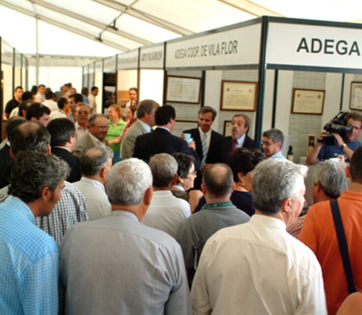 Terraflor02 10 1 736 640