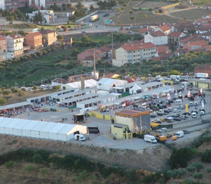 Terraflor02 13 1 736 640