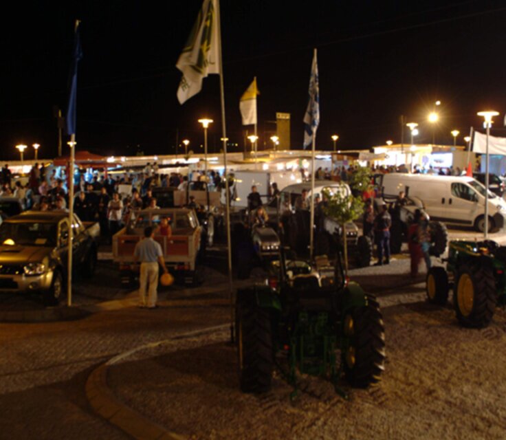 Terraflor01 16 1 736 640