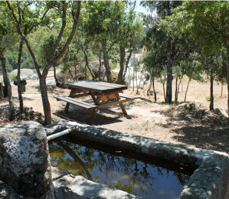 Capturar11 1 736 640