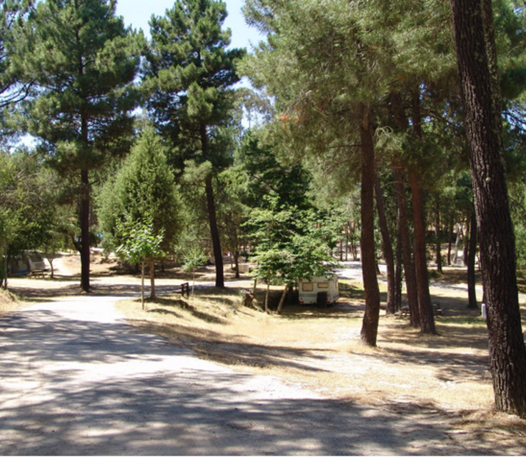 Capturar15 1 736 640