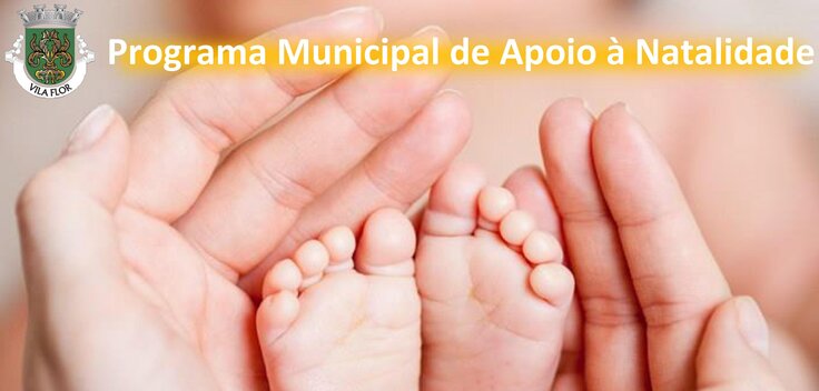 Programa apoio natalidade 2 1 736 352