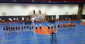 Meia Final - Porto Vólei 2014 x Castêlo da Maia GC