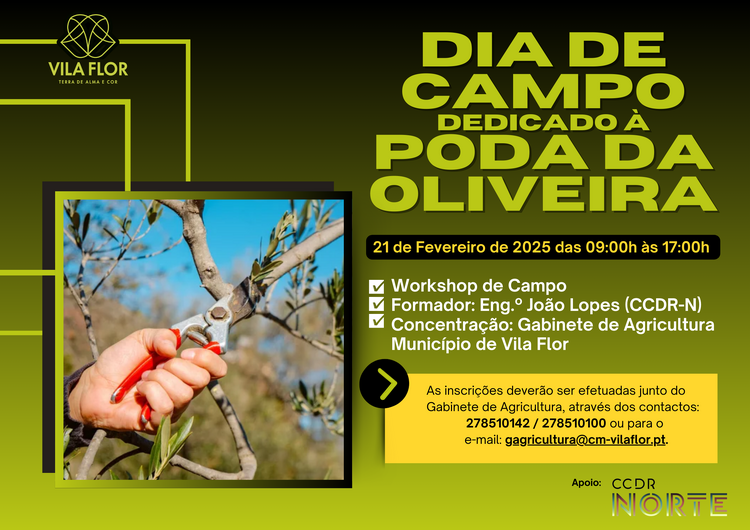 dia_de_campo