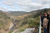 Fiolhal
