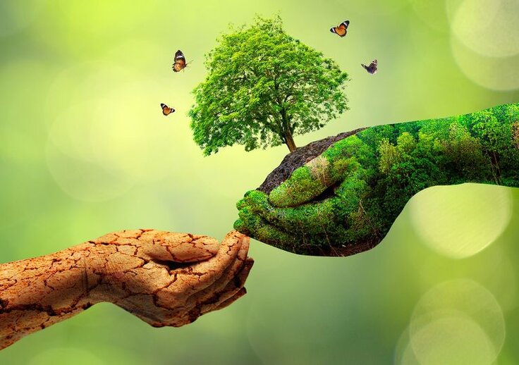 dia-mundial-del-medio-ambiente-el-planeta-necesita-que-nos-convirtamos-en-la-generacion-restauracion-340781-1_768