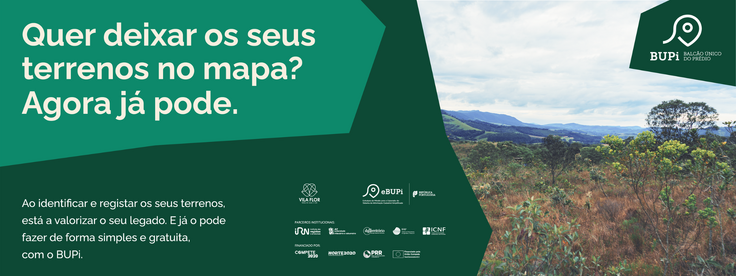 publicação bupi