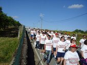 20160612 183539 1 170 200