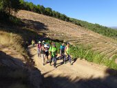 14324693 755332667902900 3712796280850582803 o 1 170 200