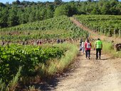 14362516 755332874569546 1556556772507188279 o 1 170 200