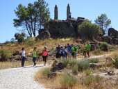 14362557 755333244569509 7600068030310669353 o 1 170 200