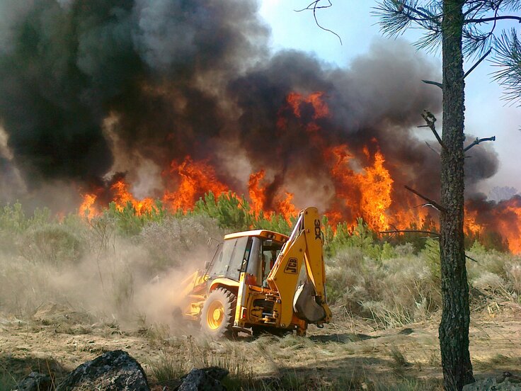 28082013381 1 736 2500