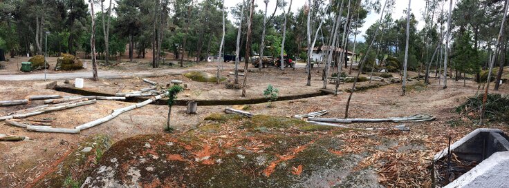 Img 6011a 1 736 2500