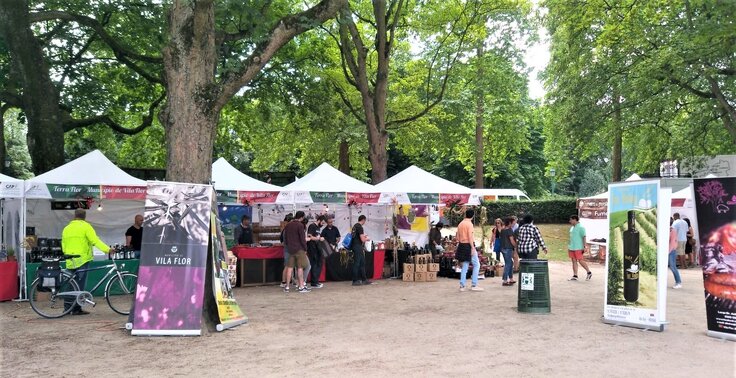 2b9881d3 0054 4567 956e cc796e664df7 1 736 2500